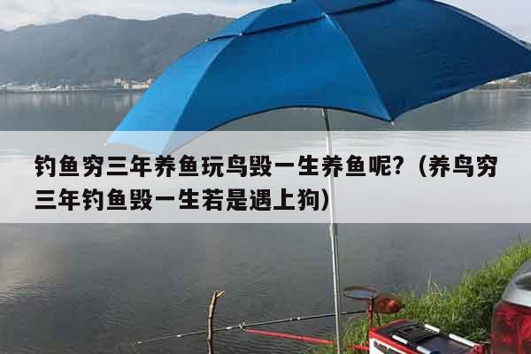 钓鱼穷三年养鱼玩鸟毁一生养鱼呢?（养鸟穷三年钓鱼毁一生若是遇上狗）