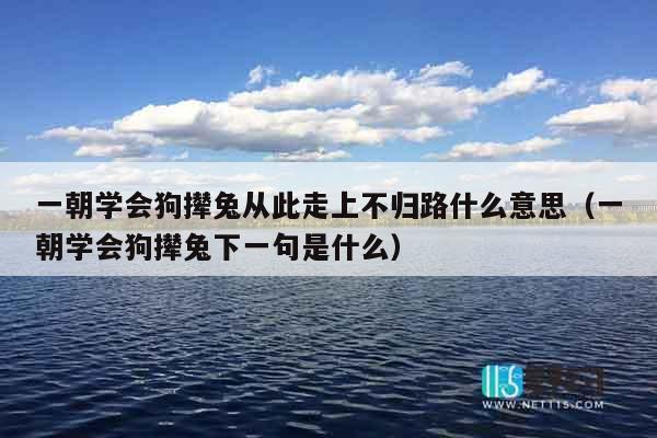 一朝学会狗撵兔从此走上不归路什么意思（一朝学会狗撵兔下一句是什么）