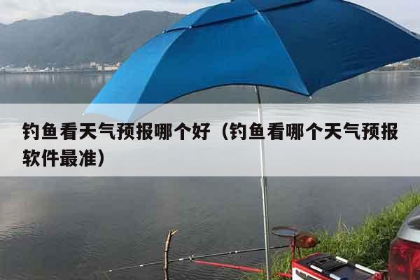 钓鱼看天气预报哪个好（钓鱼看哪个天气预报软件最准）