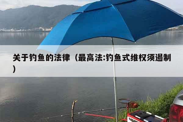 关于钓鱼的法律（最高法:钓鱼式维权须遏制）
