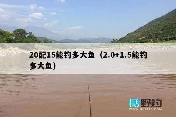 20配15能钓多大鱼（2.0+1.5能钓多大鱼）