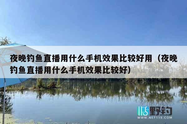 夜晚钓鱼直播用什么手机效果比较好用（夜晚钓鱼直播用什么手机效果比较好）