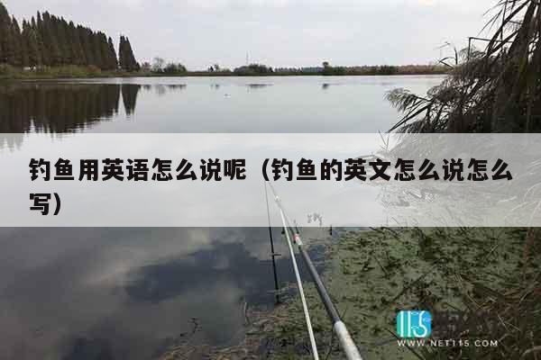 钓鱼用英语怎么说呢（钓鱼的英文怎么说怎么写）