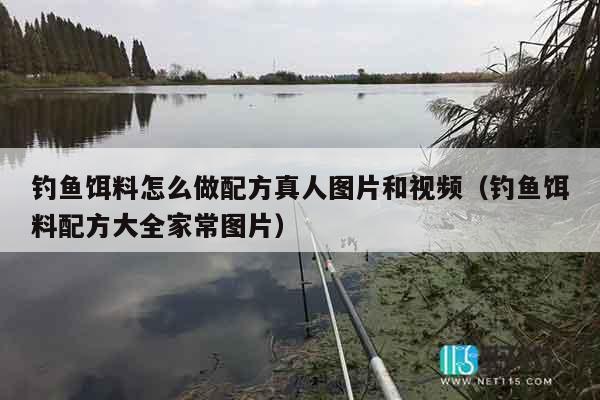 钓鱼饵料怎么做配方真人图片和视频（钓鱼饵料配方大全家常图片）