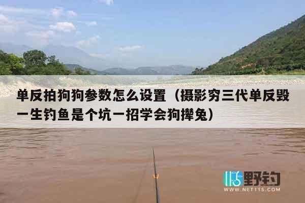 单反拍狗狗参数怎么设置（摄影穷三代单反毁一生钓鱼是个坑一招学会狗撵兔）
