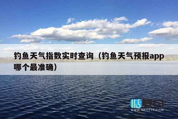 钓鱼天气指数实时查询（钓鱼天气预报app哪个最准确）