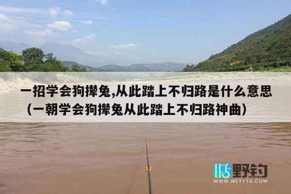 一招学会狗撵兔,从此踏上不归路是什么意思（一朝学会狗撵兔从此踏上不归路神曲）