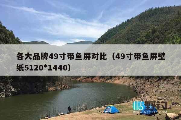 各大品牌49寸带鱼屏对比（49寸带鱼屏壁纸5120*1440）