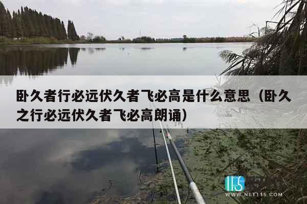 卧久者行必远伏久者飞必高是什么意思（卧久之行必远伏久者飞必高朗诵）