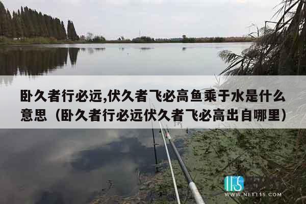 卧久者行必远,伏久者飞必高鱼乘于水是什么意思（卧久者行必远伏久者飞必高出自哪里）