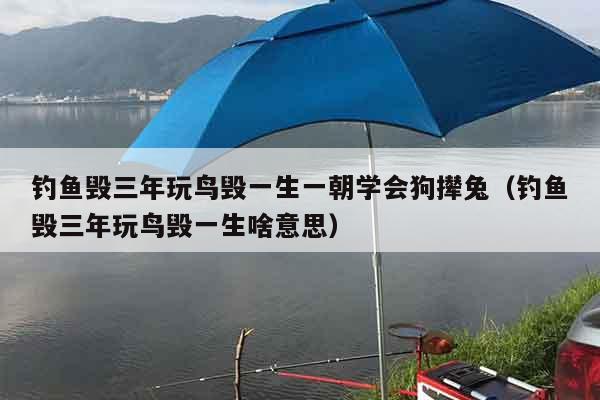 钓鱼毁三年玩鸟毁一生一朝学会狗撵兔（钓鱼毁三年玩鸟毁一生啥意思）