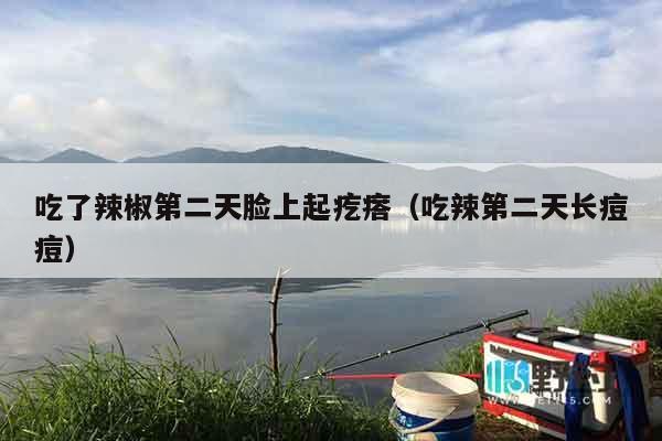 吃了辣椒第二天脸上起疙瘩（吃辣第二天长痘痘）