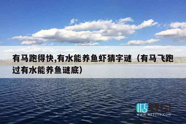 有马跑得快,有水能养鱼虾猜字谜（有马飞跑过有水能养鱼谜底）