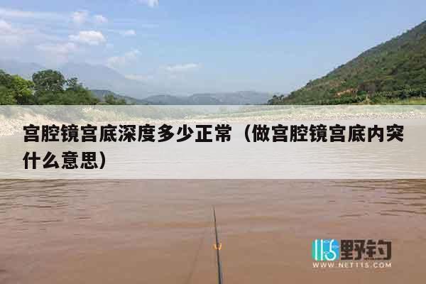 宫腔镜宫底深度多少正常（做宫腔镜宫底内突什么意思）