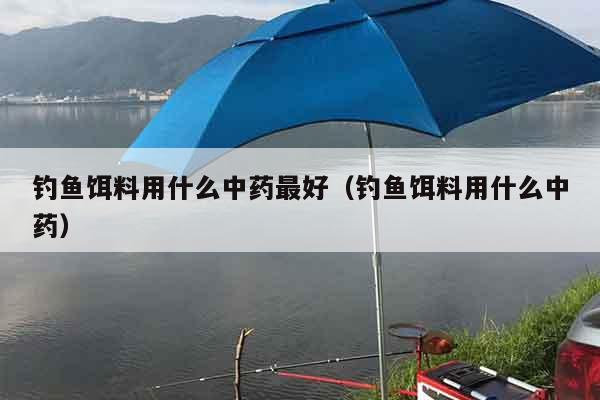 钓鱼饵料用什么中药最好（钓鱼饵料用什么中药）