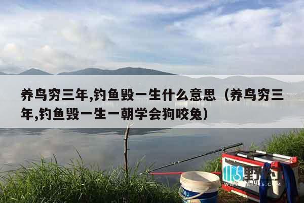 养鸟穷三年,钓鱼毁一生什么意思（养鸟穷三年,钓鱼毁一生一朝学会狗咬兔）
