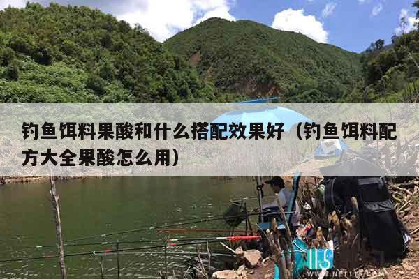 钓鱼饵料果酸和什么搭配效果好（钓鱼饵料配方大全果酸怎么用）