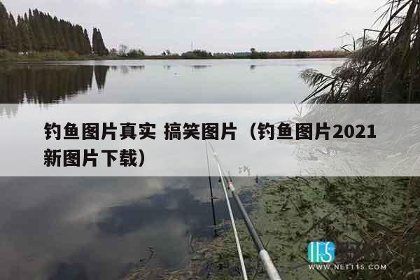 钓鱼图片真实 搞笑图片（钓鱼图片2021新图片下载）