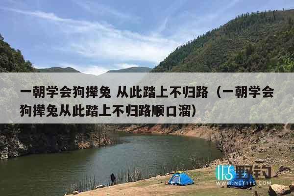 一朝学会狗撵兔 从此踏上不归路（一朝学会狗撵兔从此踏上不归路顺口溜）