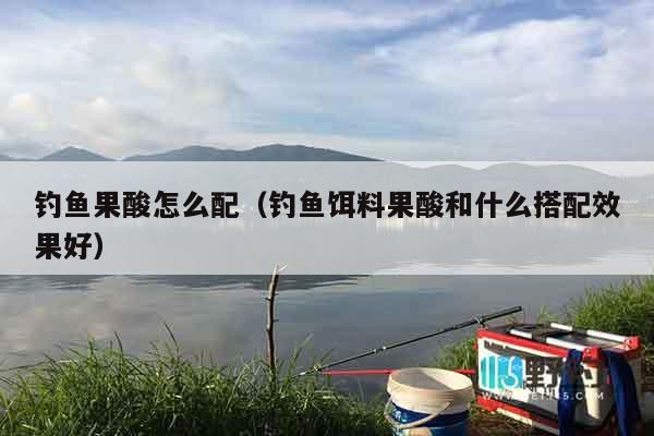 钓鱼果酸怎么配（钓鱼饵料果酸和什么搭配效果好）
