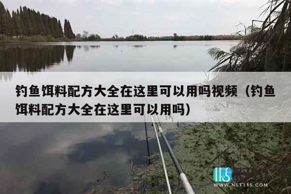 钓鱼饵料配方大全在这里可以用吗视频（钓鱼饵料配方大全在这里可以用吗）