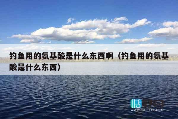 钓鱼用的氨基酸是什么东西啊（钓鱼用的氨基酸是什么东西）