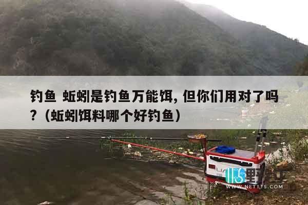 钓鱼 蚯蚓是钓鱼万能饵, 但你们用对了吗?（蚯蚓饵料哪个好钓鱼）