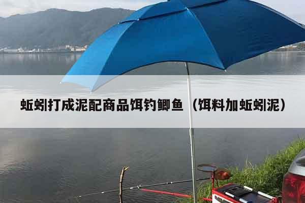 蚯蚓打成泥配商品饵钓鲫鱼（饵料加蚯蚓泥）