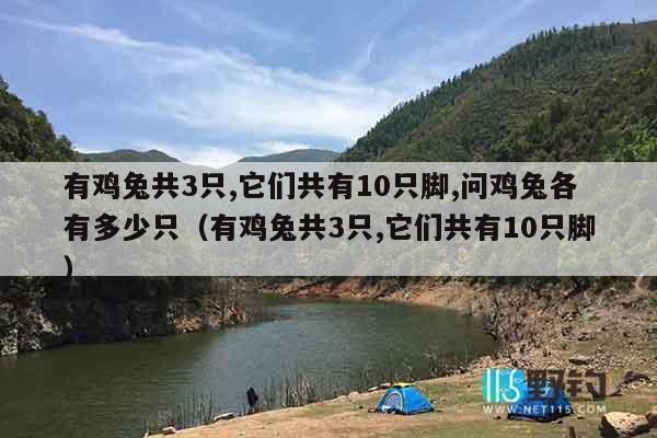 有鸡兔共3只,它们共有10只脚,问鸡兔各有多少只（有鸡兔共3只,它们共有10只脚）