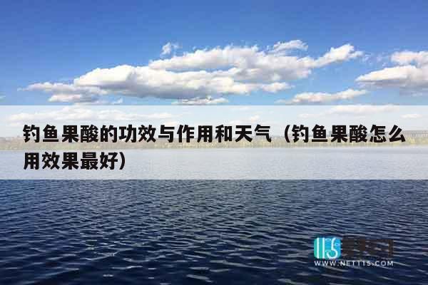 钓鱼果酸的功效与作用和天气（钓鱼果酸怎么用效果最好）