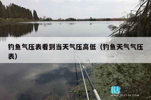 钓鱼气压表看到当天气压高低（钓鱼天气气压表）