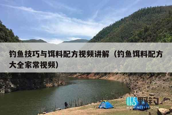钓鱼技巧与饵料配方视频讲解（钓鱼饵料配方大全家常视频）