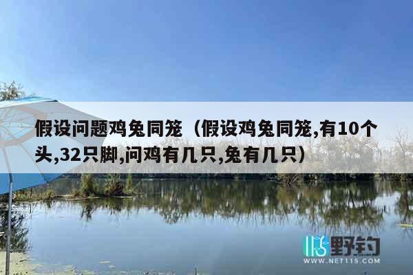 假设问题鸡兔同笼（假设鸡兔同笼,有10个头,32只脚,问鸡有几只,兔有几只）