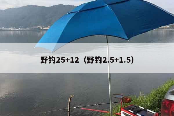 野钓25+12（野钓2.5+1.5）
