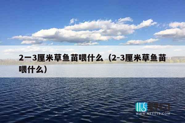 2一3厘米草鱼苗喂什么（2-3厘米草鱼苗喂什么）