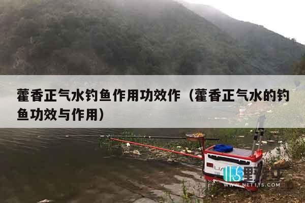 藿香正气水钓鱼作用功效作（藿香正气水的钓鱼功效与作用）