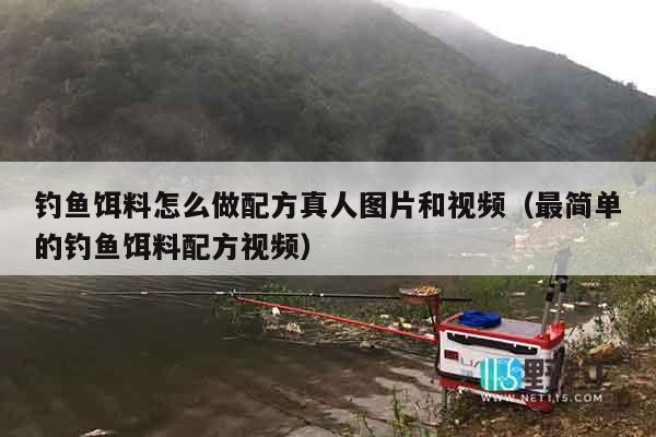 钓鱼饵料怎么做配方真人图片和视频（最简单的钓鱼饵料配方视频）
