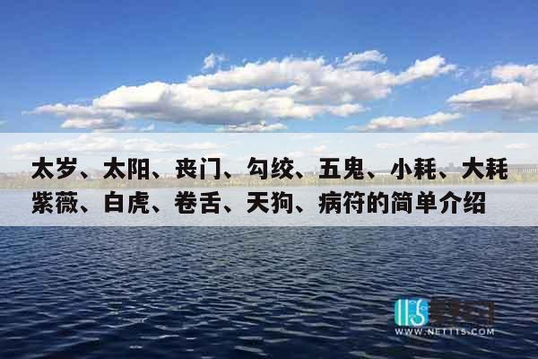 太岁、太阳、丧门、勾绞、五鬼、小耗、大耗紫薇、白虎、卷舌、天狗、病符的简单介绍