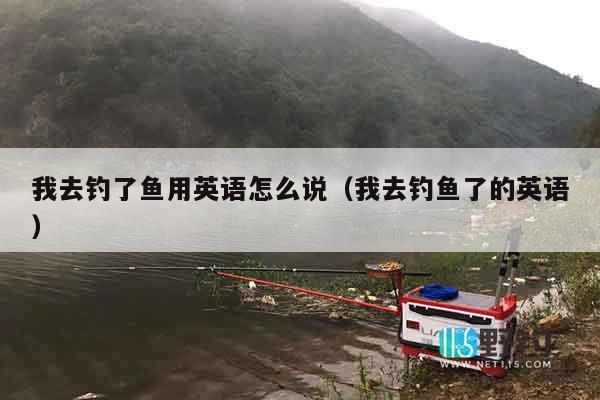 我去钓了鱼用英语怎么说（我去钓鱼了的英语）
