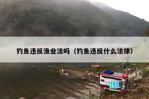 钓鱼违反渔业法吗（钓鱼违反什么法律）