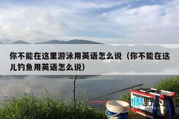 你不能在这里游泳用英语怎么说（你不能在这儿钓鱼用英语怎么说）