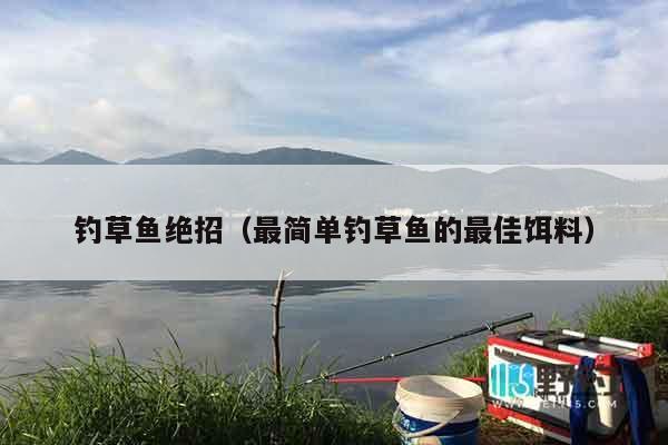 钓草鱼绝招（最简单钓草鱼的最佳饵料）