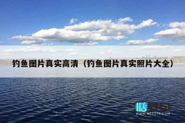 钓鱼图片真实高清（钓鱼图片真实照片大全）