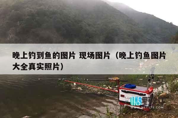 晚上钓到鱼的图片 现场图片（晚上钓鱼图片大全真实照片）