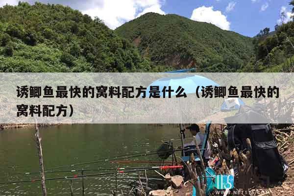诱鲫鱼最快的窝料配方是什么（诱鲫鱼最快的窝料配方）