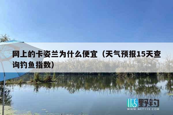 网上的卡姿兰为什么便宜（天气预报15天查询钓鱼指数）