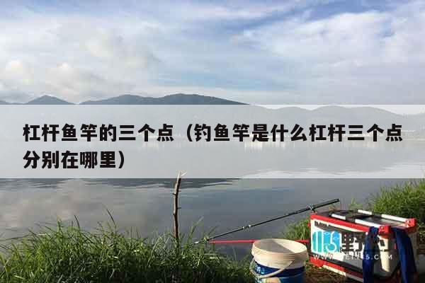 杠杆鱼竿的三个点（钓鱼竿是什么杠杆三个点分别在哪里）