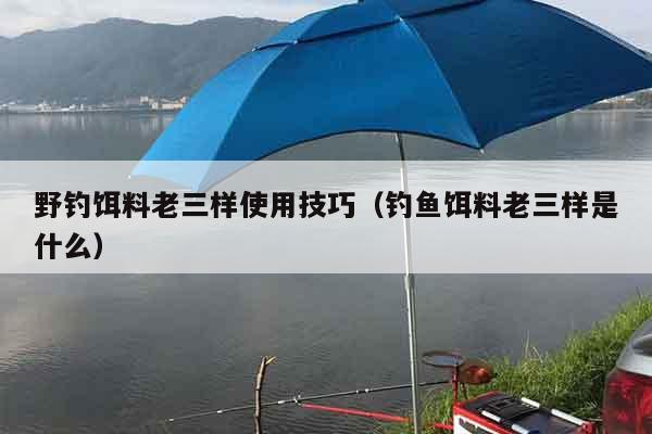 野钓饵料老三样使用技巧（钓鱼饵料老三样是什么）