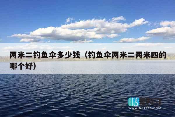 两米二钓鱼伞多少钱（钓鱼伞两米二两米四的哪个好）