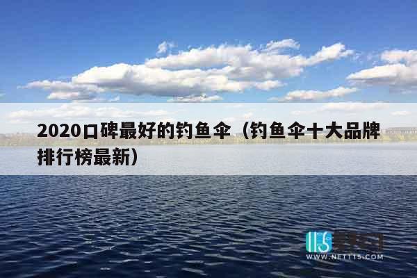 2020口碑最好的钓鱼伞（钓鱼伞十大品牌排行榜最新）